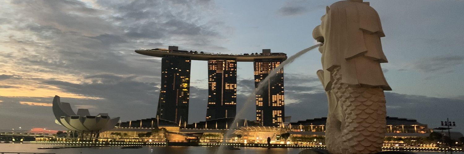 hatoDDP's profile banner image
