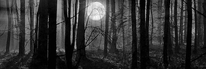 LycanDerek_LOC's profile banner image