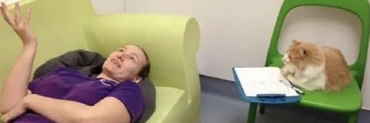 ilaydakraz's profile banner image