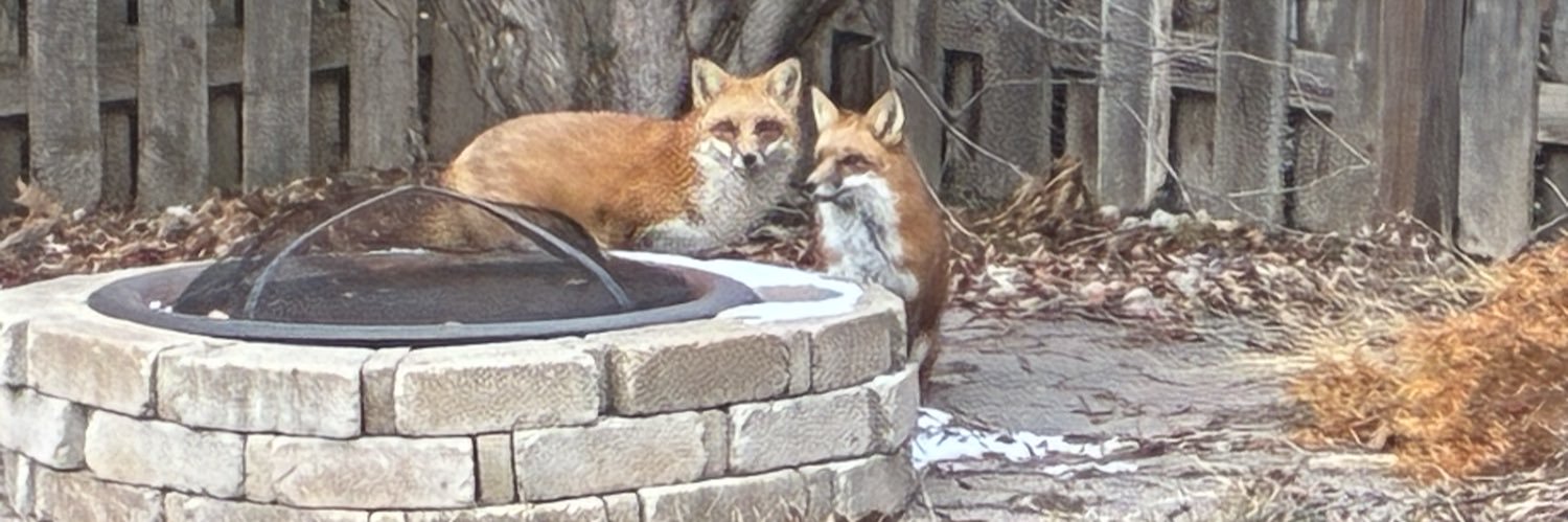 Gelph Lombardi banner