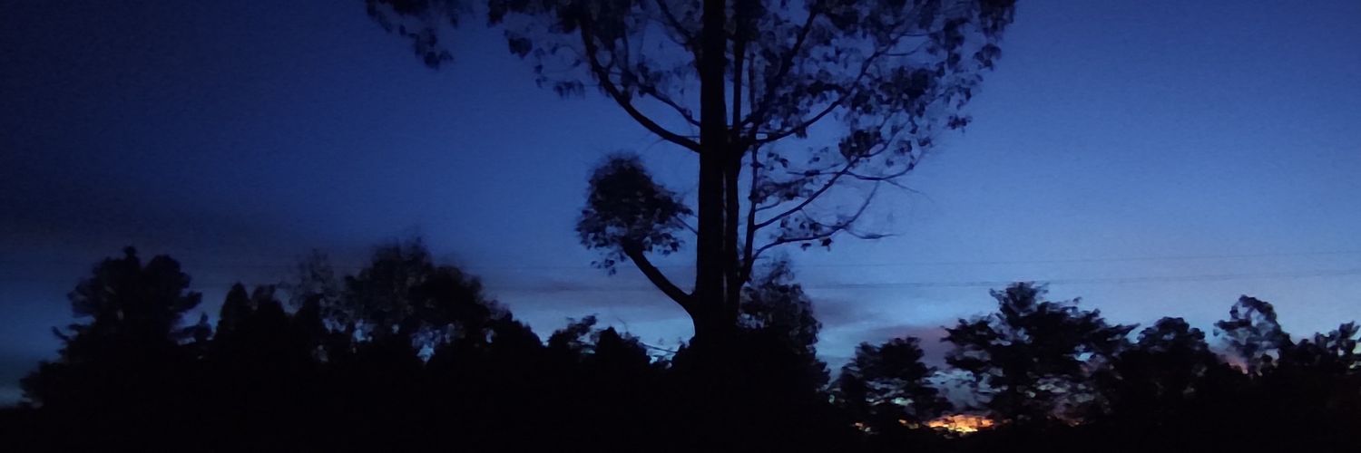 Togapanda64's profile banner image