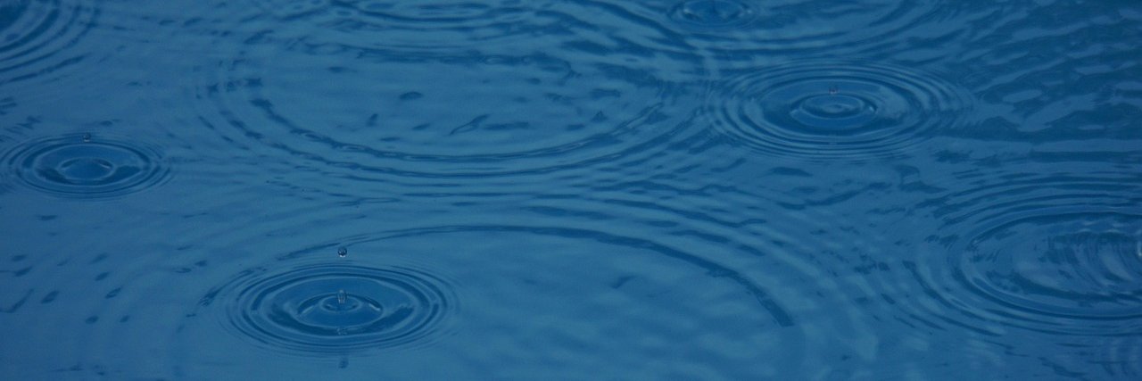 Rainy (@RainyHusky) / Posts / X