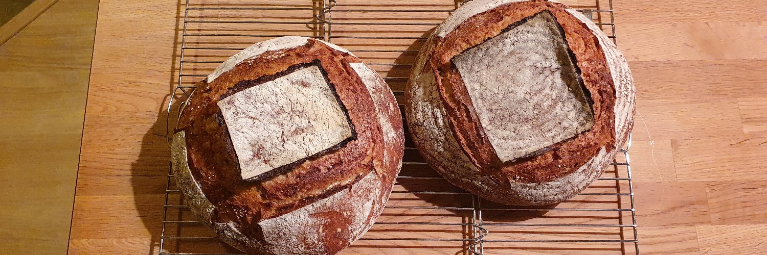 Daniel Wojcik banner