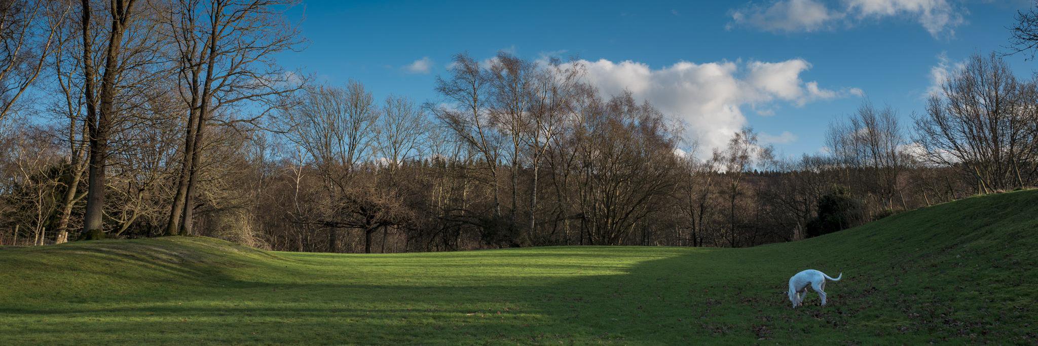 LWR999's profile banner image