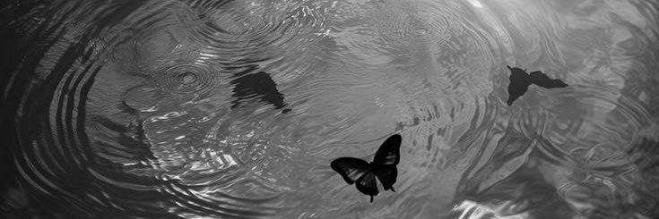 -ˋˏ ༻Malea༺ ˎˊ- (relapsing!) 🦋 banner