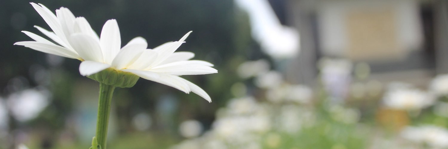 christa_CK's profile banner image