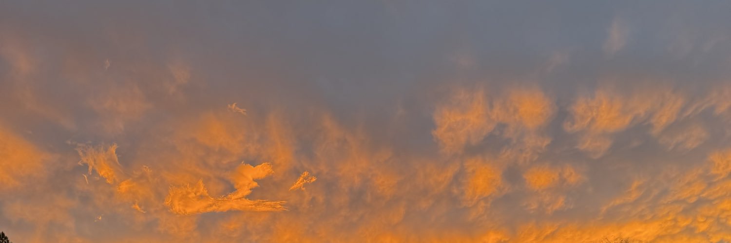 NotUrrDaddyyy banner