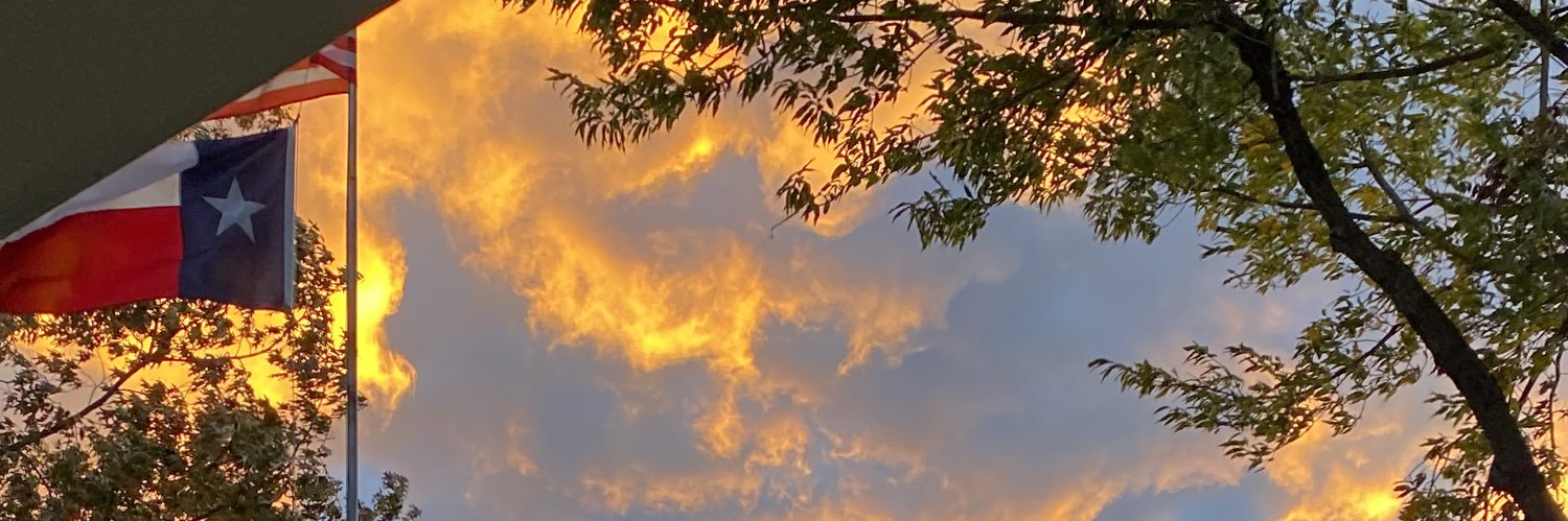 texasborn&bred banner
