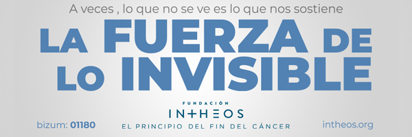 Fundación Intheos banner