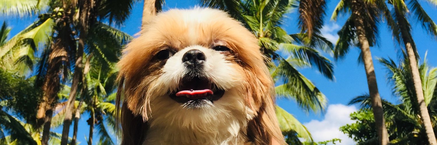 Jheraaaaa's profile banner image