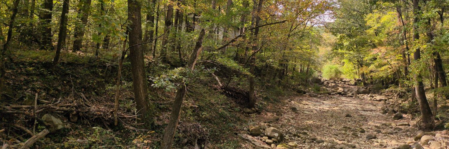 FullMetalElmer🤘 banner