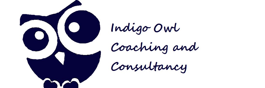 IndigoOwlCoach's profile banner image