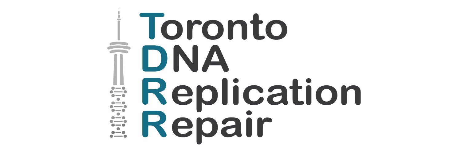 TDRR - Toronto DNA Replication & Repair Symposium banner