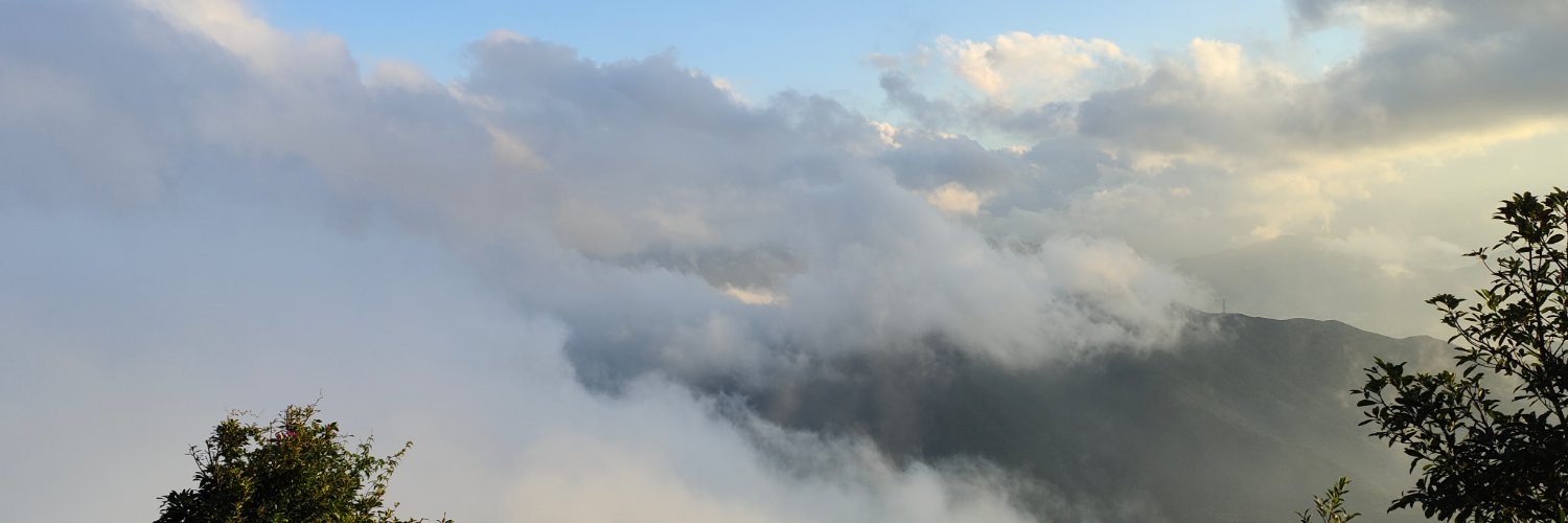 chn55050178's profile banner image
