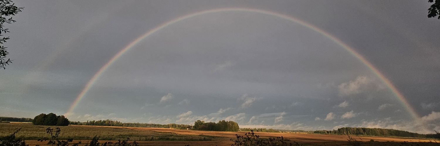 BirkovaB's profile banner image