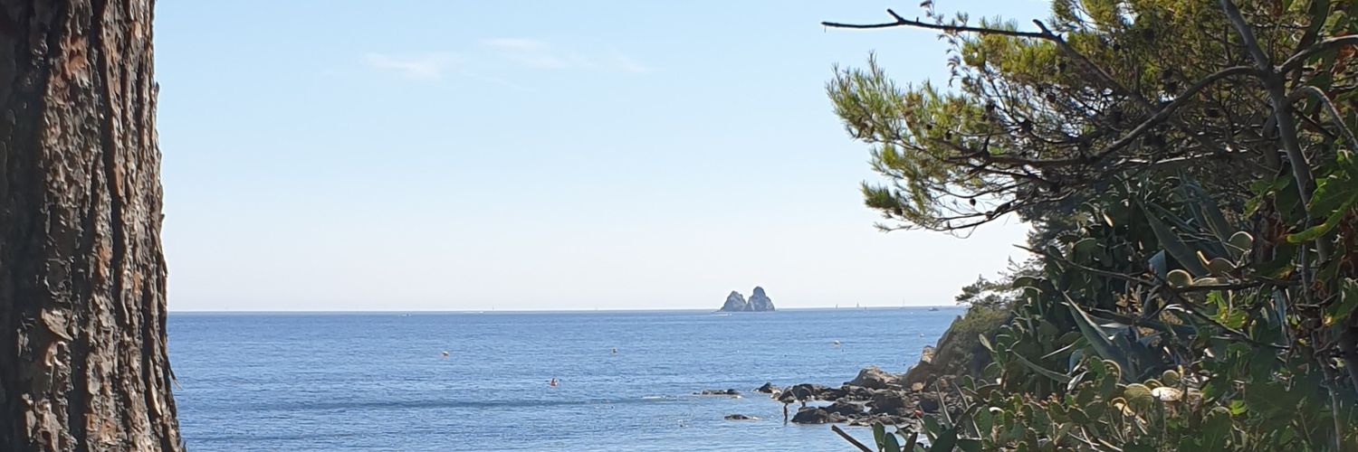 Sébastien Teffirg banner