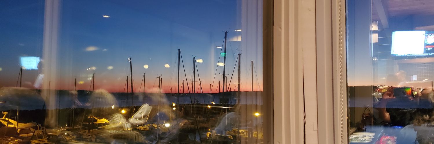 down4freespeech banner