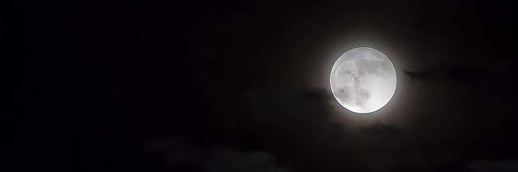 lunecaas's profile banner image