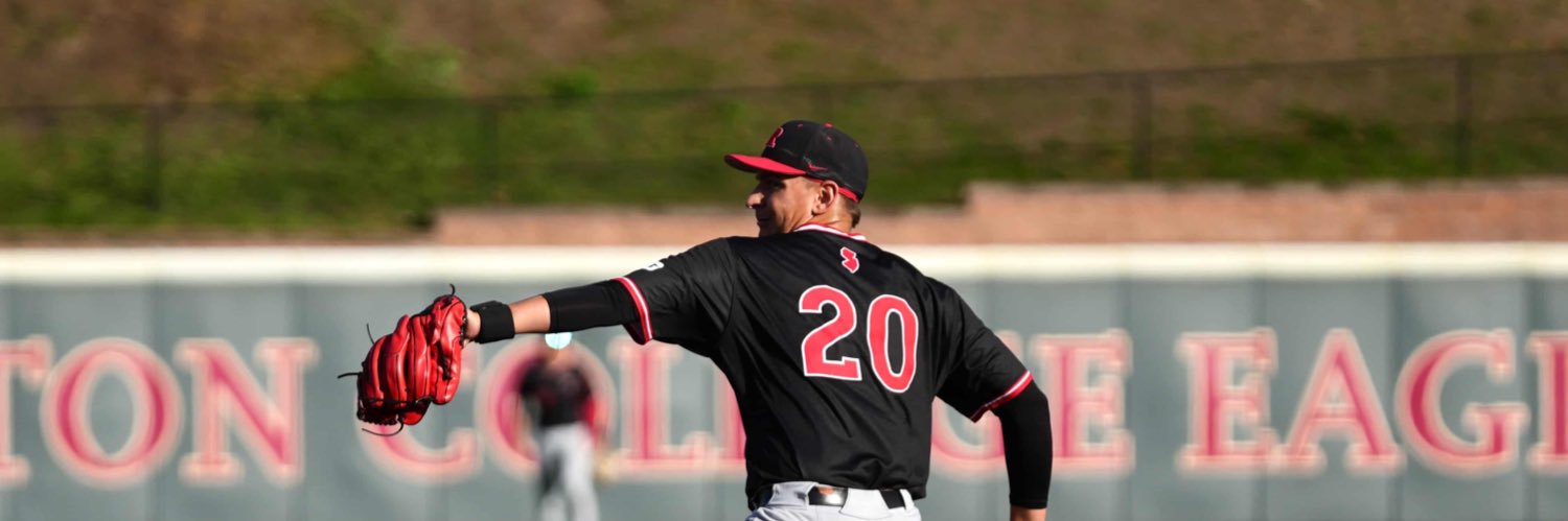 Vincent Borghese banner