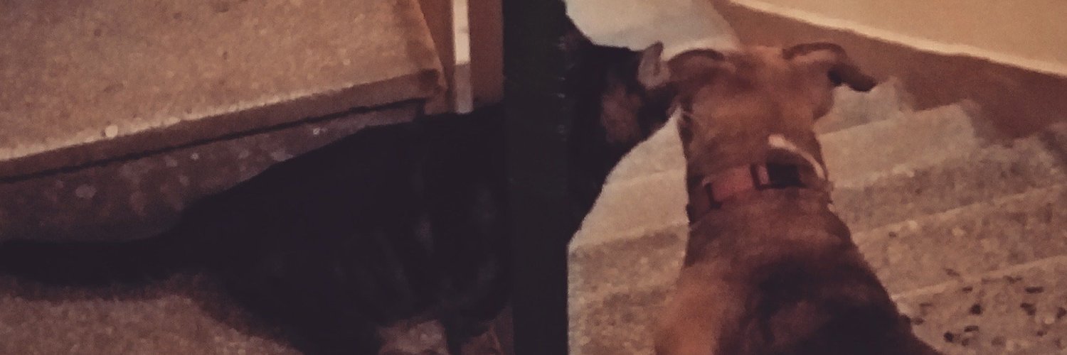 skord86's profile banner image