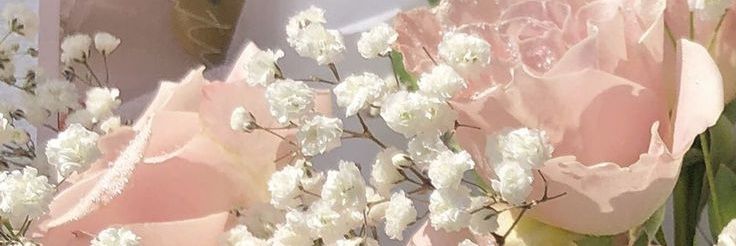 bb banner