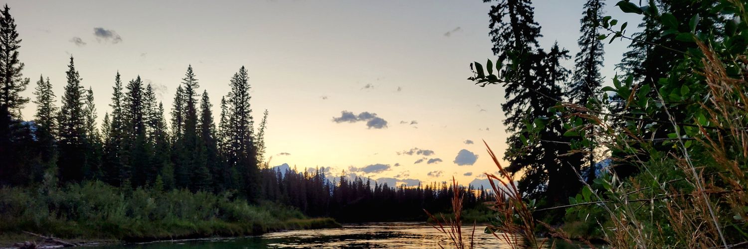colinayles_'s profile banner image