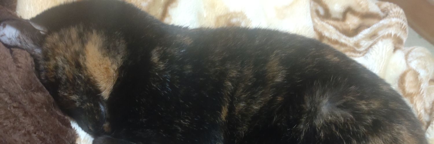 bo_tte's profile banner image