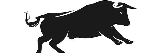Big Bull banner