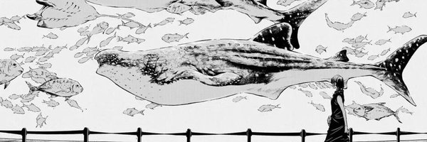 ieirihime Profile Banner