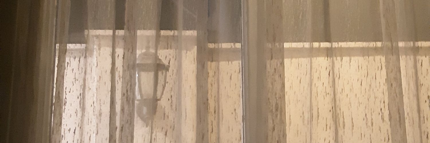 shiney_comet's profile banner image