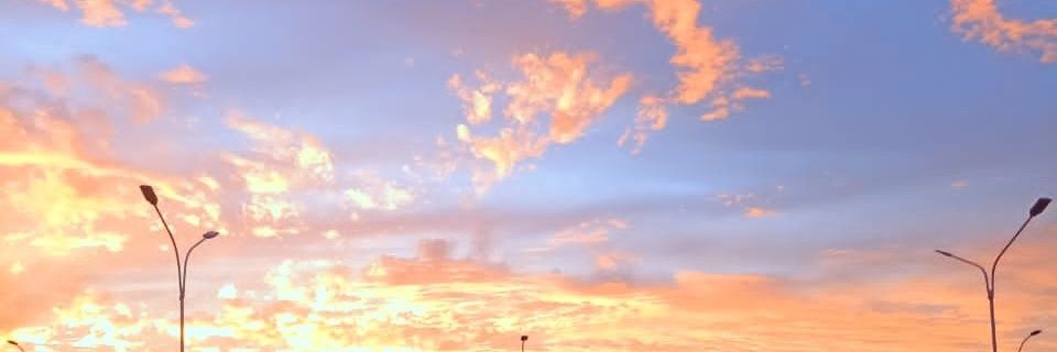 breydisd's profile banner image
