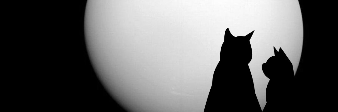 Chummbeat's profile banner image