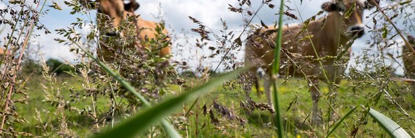 Agreenium Profile Banner