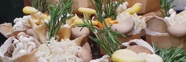 Chef_Nino_ISS Profile Banner