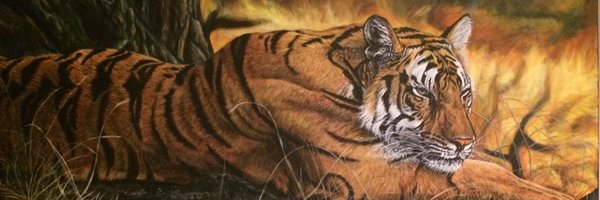 Daithie39 Profile Banner