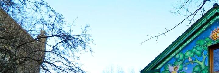 mirkoelia's profile banner image
