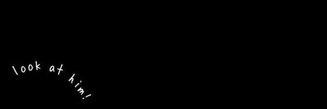 leyla's banner