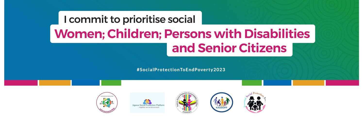Network on Social Protection Advocacy in Nigeria banner