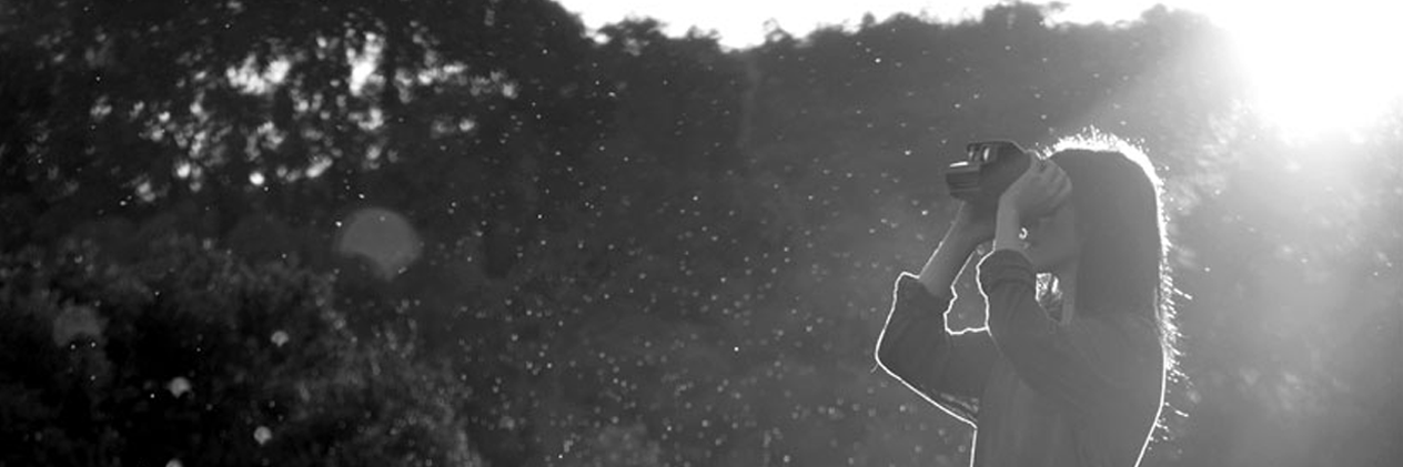fermontoro's profile banner image