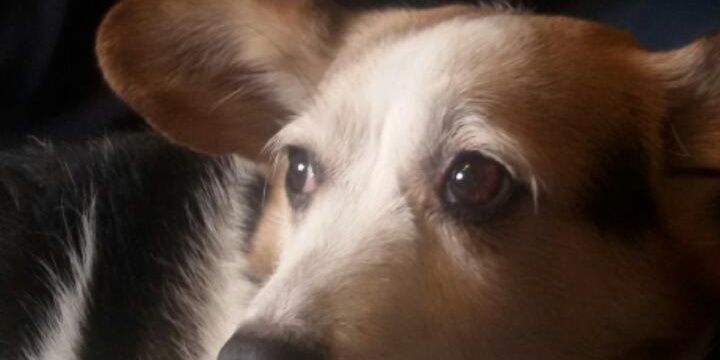 Maripa80's profile banner image