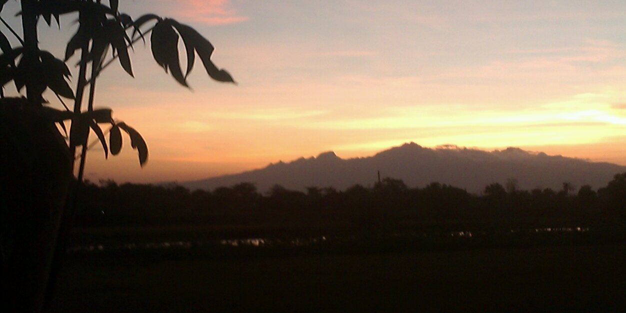 _anisaaini's profile banner image