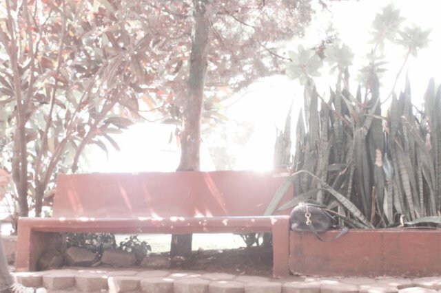 pohon2011's profile banner image