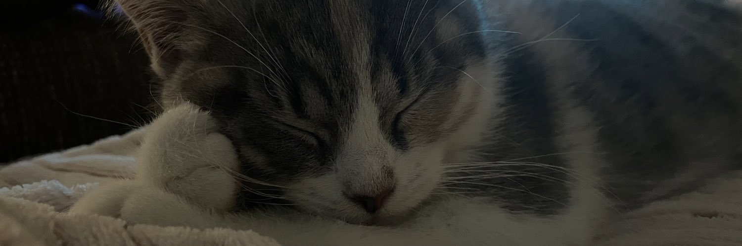 vielzuknuffig's profile banner image
