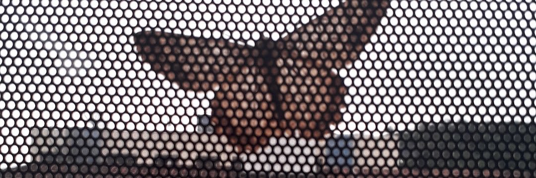 Amanda Cacenot banner