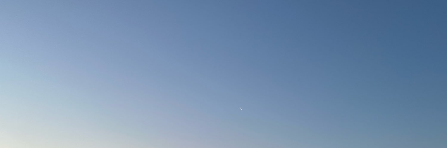 mikiswolf's profile banner image