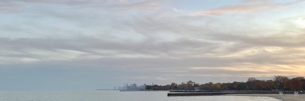 Lillianxfu Profile Banner