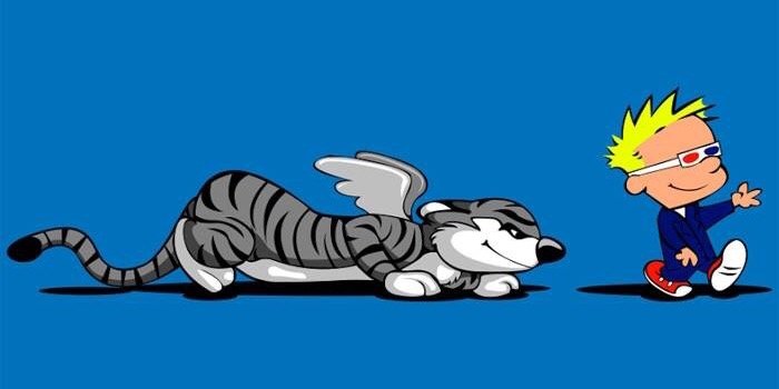 Karla Pallwitz banner