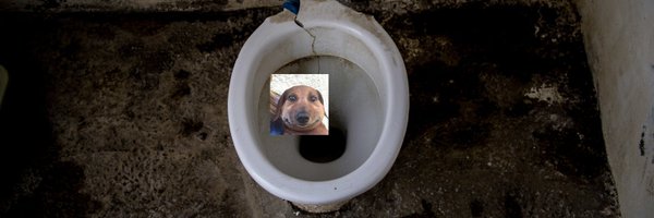real_glorphead Profile Banner
