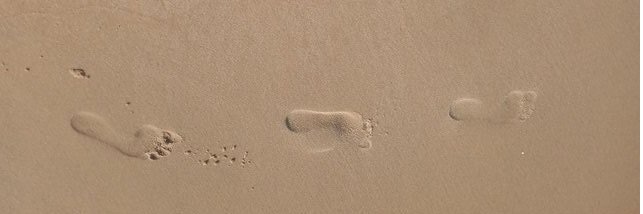 النبيل _ 43 banner