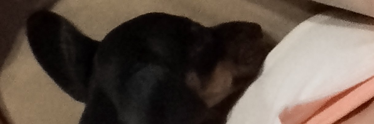 .................................................. banner